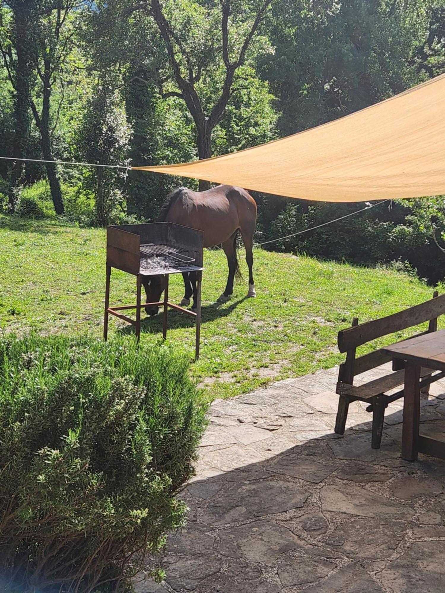 Villa Contea Del Piano à Piteglio Extérieur photo